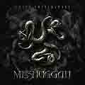 MESHUGGAH 'Catch Thirtythree' 